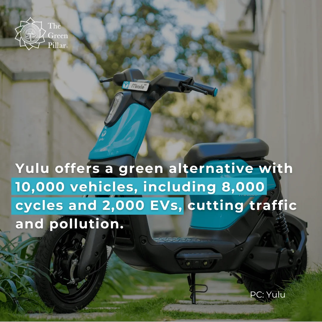 yulu-4