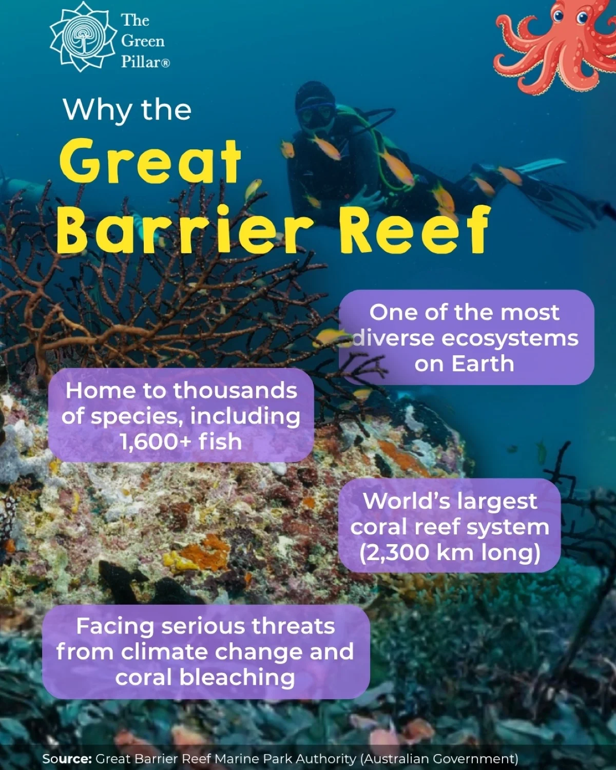 gbr-carousel-7