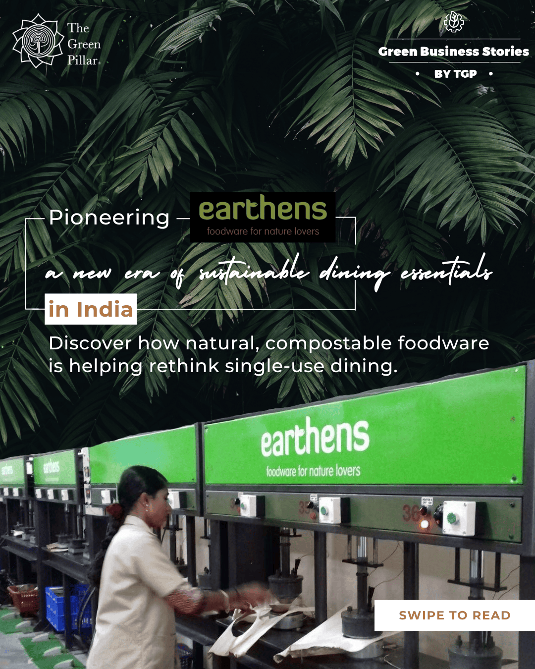 TGP Green Business Stories- Earthens Foodware - 1