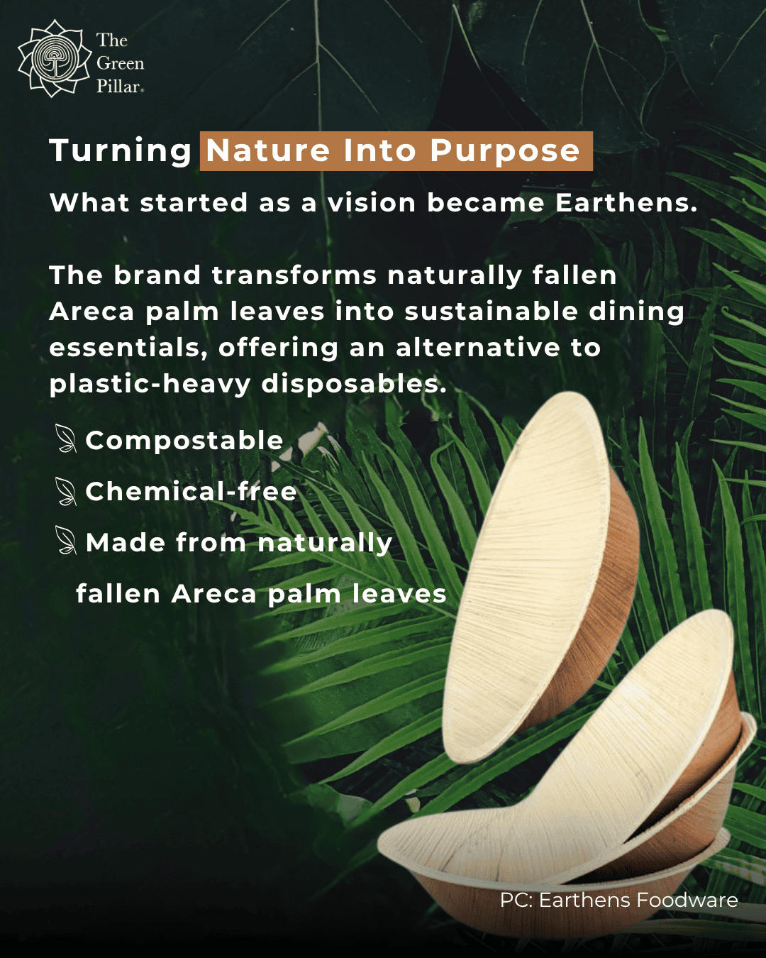 TGP Green Business Stories- Earthens Foodware - 3