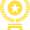 Section 4 - icon